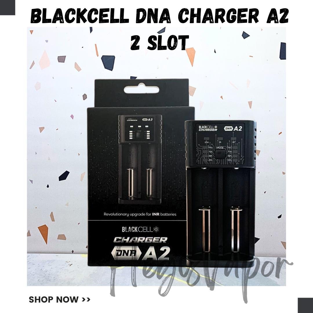 Blackcell DNA Charger A2 2 Slot